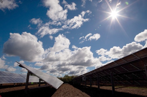 Domino's Farms Solar
