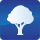Tree Icon
